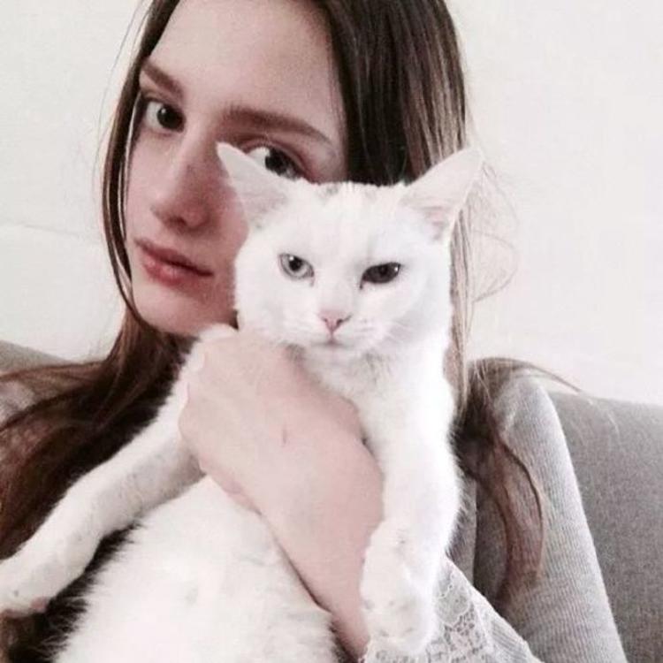 energyedtop@Dashiell